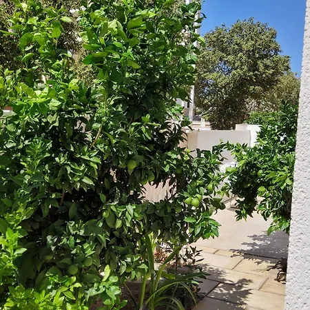 Vila Marjal *